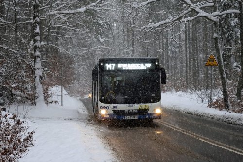 10 lutego komunkacja miejska w Gdyni będzie bezpłatna (fot. Facebook ZKM Gdynia)