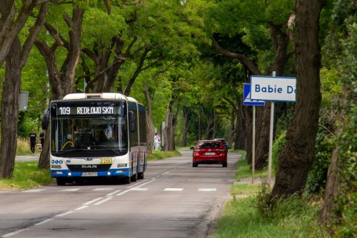 Ulica w Babich Dołach, zieleń, drzewa, na jezdni autobus ZKM Gdynia z numerem 109.