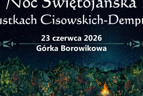 Plakat promujący świetowanie nocy Świętojańskiej ognisko na łace na tle gieździstego nieba.
