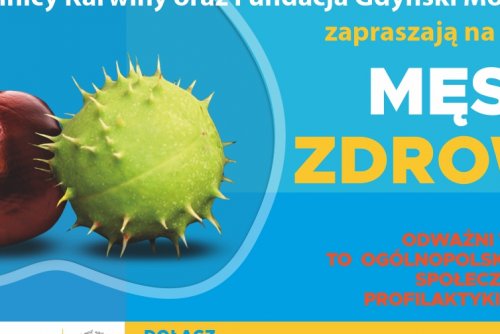 Plakat promujący wykłady o męskim zdrowiu, z grafiką kasztanów.