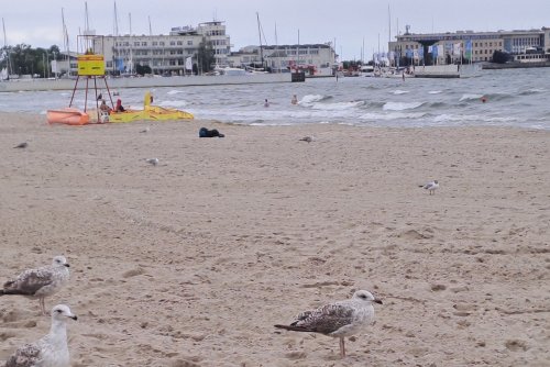 Nawet w pochmurny dzień spacer gdyńska plażą to przyjemność (fot. Kalina Ariana Alia z naszej grupy Fb Gdynia w obiektywie)