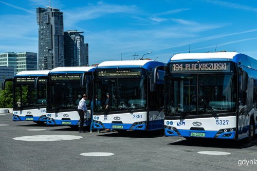 Molo Południowe, ustawione w szeregu przegubowe autobusy, w tle marina i Sea Towers