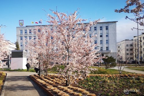 Na zdjęciu siedziba główna Urzędu Miasta Gdyni (fot. Karolina Szypelt)