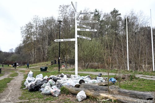 Tak wyglądała akcja sprzątania świata w roku ubiegłym (fot. Michał Puszczewicz/archiwum)