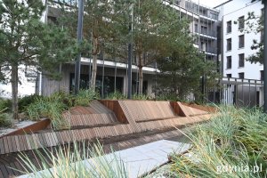 Przestrzeń z zielenią i drewnianymi ławkami