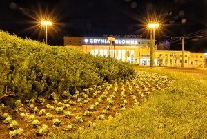 Gdynia nocą, fot. Michał Puszczewicz