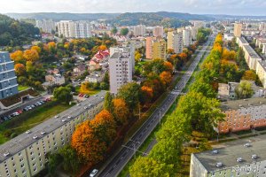 Widok z lotu ptaka na jedną z gdyńskich ulic, wzdłuż której biegną szpalery drzew w jesiennej szacie // fot. Michał Puszczewicz 