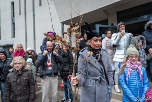 Sadzenie drzew na Kamiennej Górze 