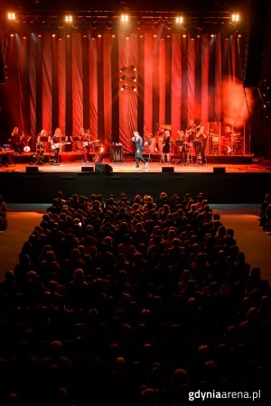 Koncert Andrzeja Piasecznego w Gdynia Arenie, fot. Dawid Linkowski 