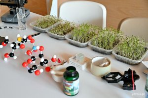 Jeden z finałowych projektów konkursu Explory