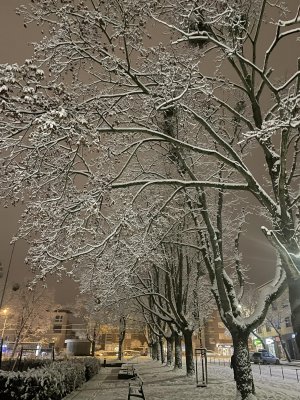 Zimowe zdjęcia Gdyni, fot. Jagoda Jaga / z naszej facebookowej grupy „Gdynia w obiektywie” (facebook.com/groups/gdyniawobiektywie)