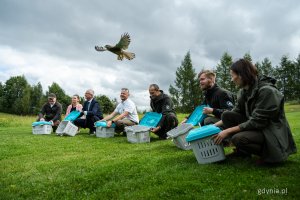 Goście Pomorskiego Ośrodka Rehabilitacji Dzikich Zwierząt „Ostoja” w Pomieczynie podczas wypuszczania na wolność kilkunastu zrehabilitowanych pustułek (fot. Kamil Złoch)