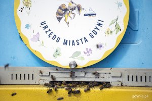Pszczoły siedzą na ulu.
