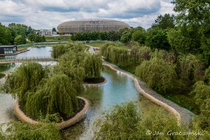 Staw przy Tauron Arenie, źródło: krakow.pl