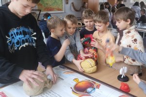 Szkolny Festiwal Nauki w Gdyni! Na zdjęciu prezentacje w SP 51 (fot. SP 51)    