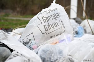 Worki ze śmieciami zebranymi podczas akcji sprzątania w Redłowie z okazji Dnia Ziemi