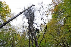 Jarząb Szwedzki przytrzymywany przez dźwig, fot. Michał Kowalski