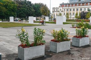 Plac przy ul. Zawiszy Czarnego zmienia się na zielony. Fot. Marcin Mielewski