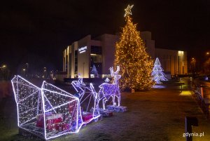 Świąteczne iluminacje na placu Grunwaldzkim. Z niebieskich światełek LED powstały sanie, które ciągnie renifer oraz mała choinka, widoczna w tle. Po środku stoi przyozdobiona choinka. Z tyłu widoczny jest Teatr Muzyczny. // fot. Przemysław Kozłowski