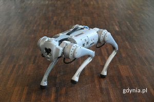 Szary robot w kształcie psa na brązowej podłodze