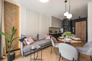 Salon z aneksem kuchennym w Apartamencie Moje Miasto