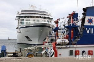 Viking Sea w Gdyni / fot. Tadeusz Urbaniak Port Gdynia