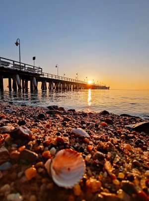 Wschód słońca na plaży w Orłowie. Po lewej stronie widać molo, a na dole kadru, jest zbliżenie na muszelki na plaży. 