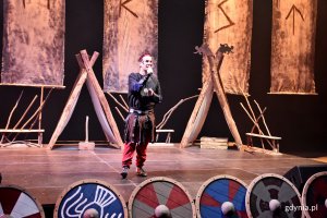 Bal karnawałowy „Rejs do krainy Wikingów” w Gdynia Arenie // fot. Paweł Kukla