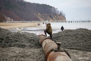 Rura na plaży, przez która przechodzi kobieta z psem.