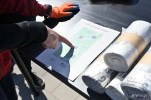 Wspólne sprzątnie lasu w Wielkim Kacku