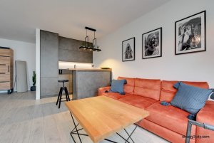 Apartamenty Sleepy3city Premium, widok na salon z aneksem kuchennym