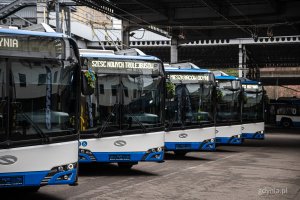 Sześć nowych trolejbus&oacute;w marki Solaris dla PKT w Gdyni (fot. Kamil Złoch)