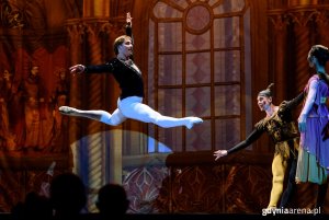 Jezioro Łabędzie w Gdynia Arenie / fot. Dawid Linkowski