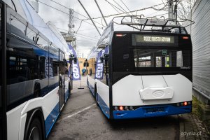 Sześć nowych trolejbus&oacute;w marki Solaris dla PKT w Gdyni (fot. Kamil Złoch)
