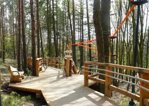 Park Leśny na Oksywiu (fot. LIS)