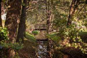 Jesień w Gdyni. Park Kiloński // fot. Karol Stańczak 