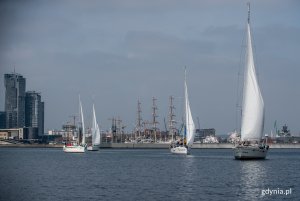 Pierwsza gra miejska dla przedsiębiorców w ramach cyklu „Spotkajmy się Gdyni”, fot. Maciej Czarniak