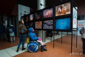 Fotografie podr&oacute;żnik&oacute;w przyciągały uwagę uczestnik&oacute;w (fot. Paweł Budziński)