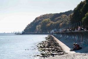 Paradę jachtów można było podziwiać z bulwaru