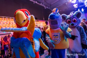 Trzy maskotki: papuga, śledź i misiu