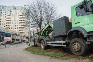 Przesadzanie drzew z ulicy Chwarznieńskiej na Witominie, fot. Kamil Złoch