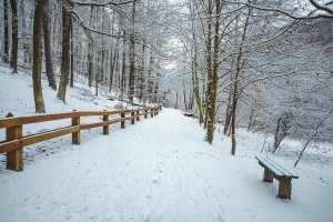 Ciąg pieszy pomiędzy Polanką Redłowską a Płytą Redłowską, na fotografii zimowy krajobraz trasy z widokiem na odcinek leśny w kierunku Redłowaeru