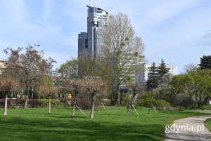 Park Rady Europy, widok na Sea Towers (fot. Magdalena Starnawska)