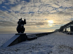 Gdyńskie rybki w zimowej scenerii