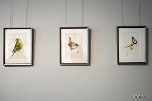 Wernisaż wystawy „Ptaki w mieście” // fot. Michał Puszczewicz