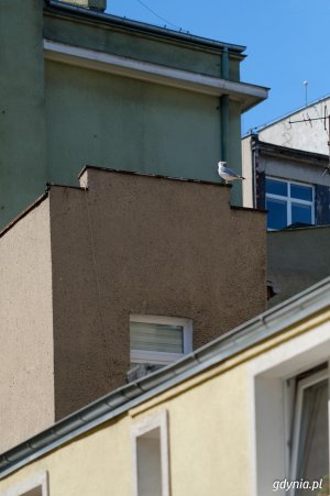Wakacje z modernizmem //fot.Dawid Linkowski