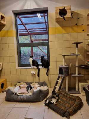 Do Ciapkowa zostało przekazanych ponad 80 legowisk // fot. Laboratorium Innowacji Społecznych