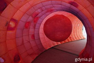 Wnętrze makiety 3D jelita grubego (fot. Magdalena Starnawska)