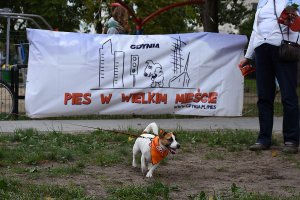 Otwarcie wybiegu na ul. Tucholskiej (Oksywie/Obłuże)
