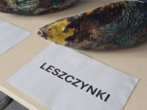 Jubileuszowa rybka dzielnicy Leszczynki (fot. Monika Rak)